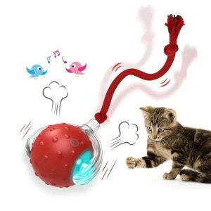 Balle magique pour chat – Balle interactif
