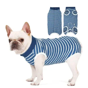 Body pour chien