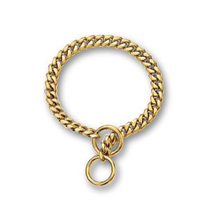Chaîne dorée pour chien Golden