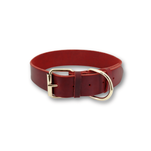Collier chien cuir rouge Red Collar