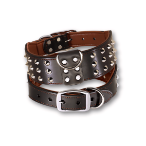 Collier cuir chien molosse Le Clouté