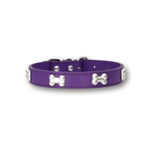 Collier original pour chien Os