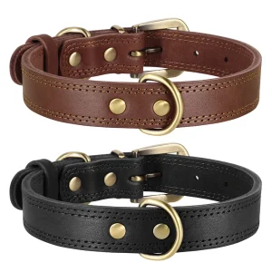 Collier cuir pour chien