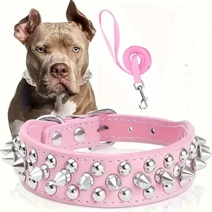 Collier cuir à pique pour chien