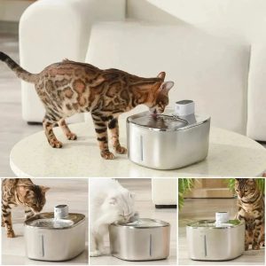 Fontaine à eau chat 4L – Pratique et hygiénique