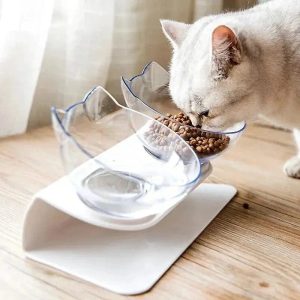 Gamelle inclinée pour chat – Posture idéale