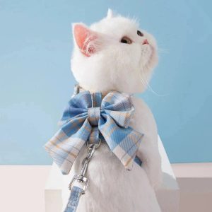 Harnais chat design – Promenade sécurisée