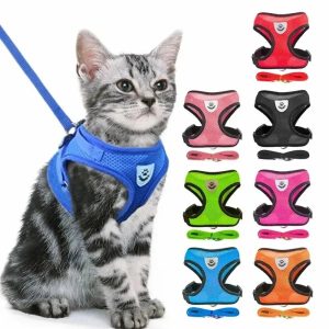Harnais réfléchissant pour chaton