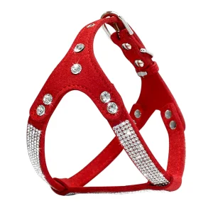 Harnais girly pour Chihuahua