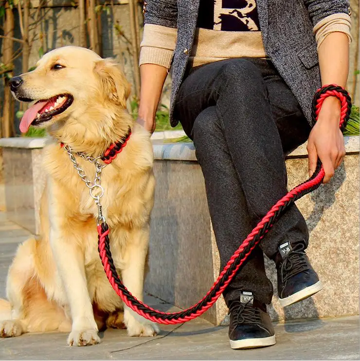 Laisse pour chien corde tressée – Image 3