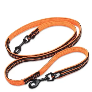 Laisse lasso dressage