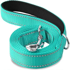 Laisse pour chien spitz nain