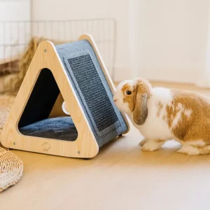 Maison pour lapin moderne