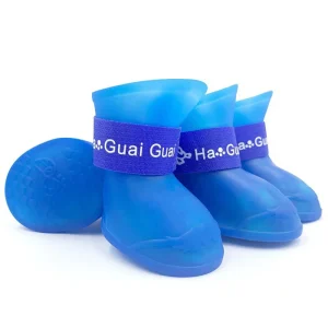 Chaussures d'Eau Chien