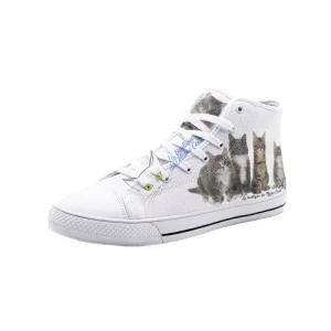 Chaussures style Convers chaton Maine Coon