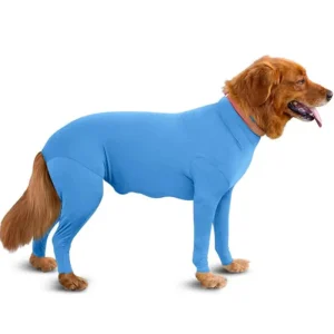 Combinaison Chien