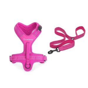Ensemble laisse et harnais anti traction chien True love Forest