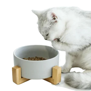 Gamelle design en céramique de 850 ml pour chat