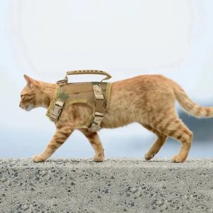 Harnais tactique chat – Anti-fugue et confort
