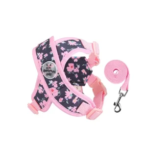 Harnais chiot voiture