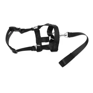 Licol ajustable pour chien