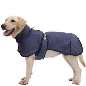 Manteau pour Gros Chien