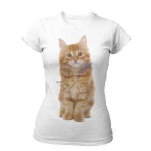 T-shirt bébé Maine Coon craquant